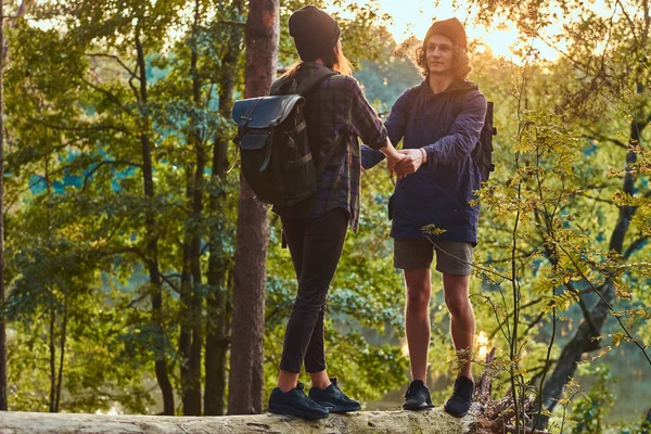 Giovane coppia hipster che si tiene per mano in piedi su un tronco d'albero in una bellissima foresta al tramonto. Viaggio, turismo ed escursionismo . — Foto Stock