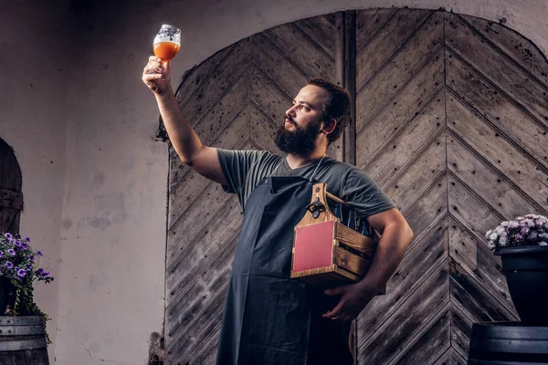 Braumeister in Schürze hält ein Glas Bier in der Hand und überprüft die Qualität des gebrauten Getränks in der Brauerei. — Stockfoto