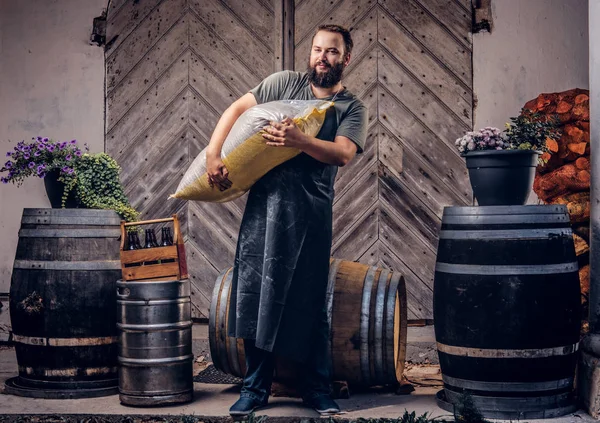 Bärtiger Brauer in Schürze hält eine Tüte Malz in Brauerei-Fabrik. — Stockfoto