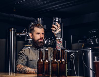 Şık sakal ve saç erkek tutar zanaat bira barda oturan bir bardak indie bira sayaç.