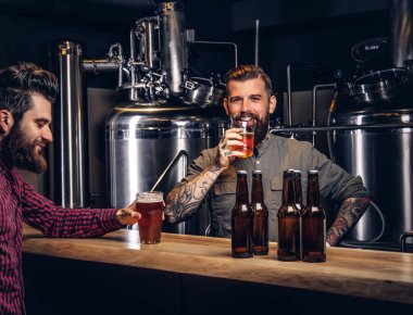 İki şık zanaat bira birlikte indie bira içme hipsters arkadaşlar sakallı.