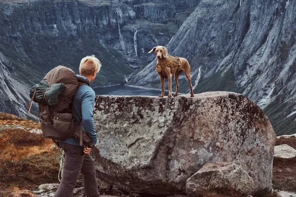 Turista maschio con il suo cane carino in piedi sulla cima del fiordo norvegese . — Foto Stock