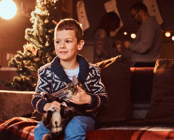 Glücklicher entzückender Junge hält seine Katze in den Händen, während er in der Weihnachtszeit auf einem Sofa im geschmückten Zimmer sitzt. — Stockfoto