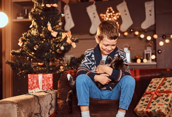 Очаровательный мальчик играет со своей кошкой, сидя на диване в украшенной комнате на Рождество . — стоковое фото