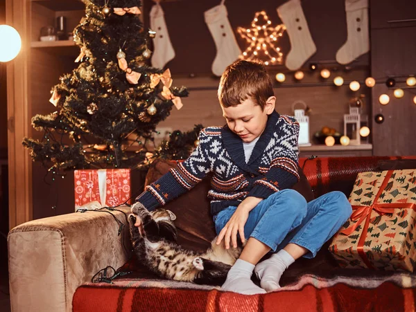 Entzückender Junge spielt mit seiner Katze, während er zur Weihnachtszeit auf dem Sofa im geschmückten Zimmer sitzt. — Stockfoto
