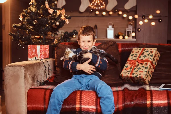 Entzückender Junge umarmt seine Katze in den Händen, während er zur Weihnachtszeit auf dem Sofa im geschmückten Zimmer sitzt. — Stockfoto