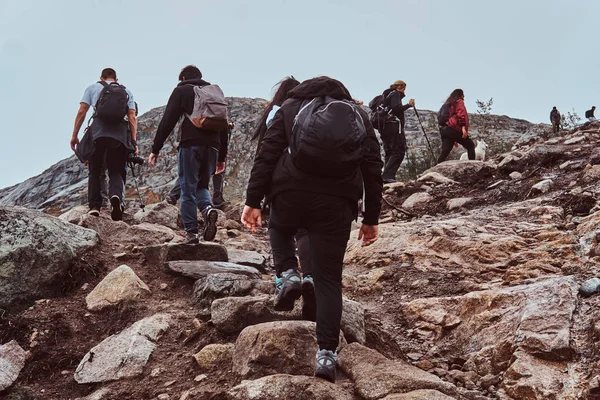 Gruppe von Wanderern mit Rucksäcken auf den Spuren in den Bergen. — Stockfoto