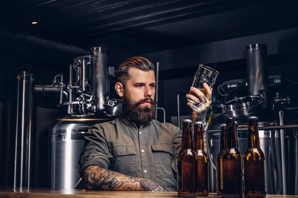 Varón con barba elegante y pelo sostiene pinta de cerveza artesanal sentado en el mostrador del bar en la fábrica de cerveza indie . —  Fotos de Stock