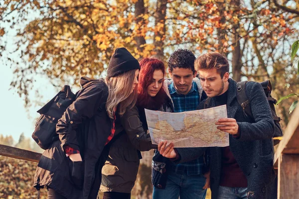 Skupina mladých přátel turistiky v podzimní barevné Les, při pohledu na mapu a plánování výlet. — Stock fotografie