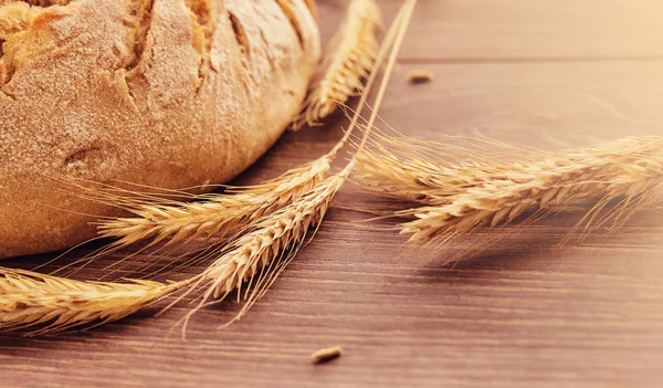 Freshly baked bread and spikelets of wheat. — Stock Photo, Image
