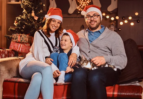 Очаровательная семья в шляпах со своей кошкой, сидящей вместе на диване в украшенной комнате во время Рождества . — стоковое фото