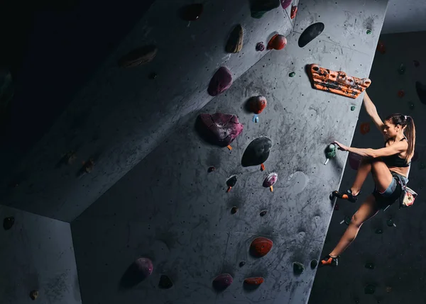 Young woman in shorts and sports bra exercising on a bouldering wall indoors. — Stock Photo, Image