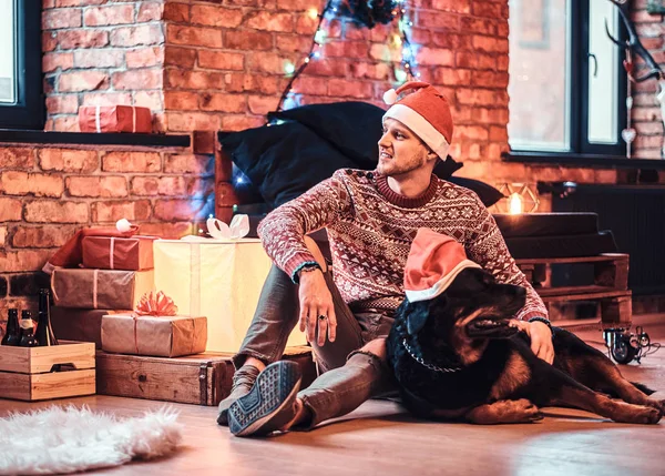 Молодой человек сидит со своим чистокровным ротвейлером в украшенной гостиной на Рождество . — стоковое фото
