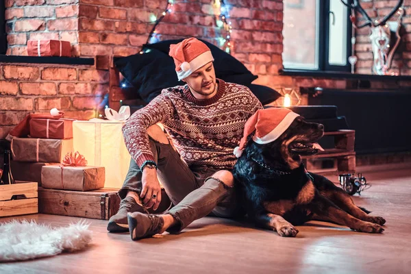 圣诞节那天, 年轻人和他的纯种罗特韦勒坐在装饰过的客厅里. — 图库照片