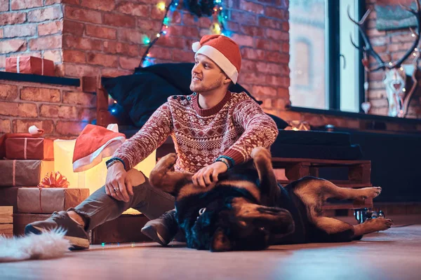 圣诞节期间, 时尚的男人在装饰好的客厅里和他可爱的狗玩. — 图库照片