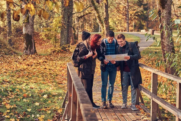 Group of young friends hiking in autumn colorful forest, looking at map and planning hike.