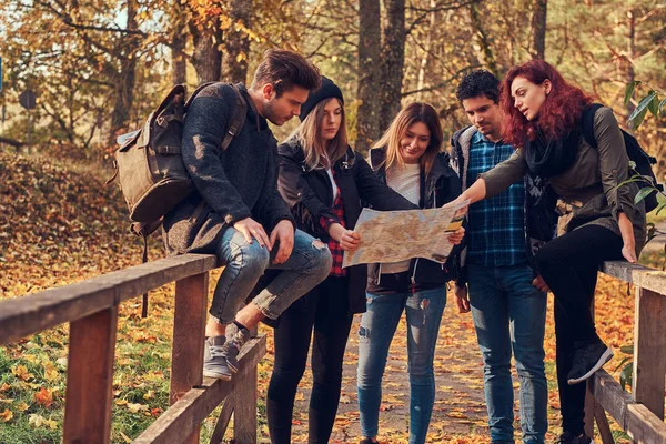 Groep jonge vrienden wandelen in de herfst kleurrijk bos, kijken naar kaart en planning van de wandeling. — Stockfoto