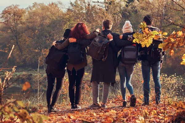 Vista trasera de los jóvenes amigos abrazándose juntos y mirando el lago en el hermoso bosque de otoño . — Foto de Stock