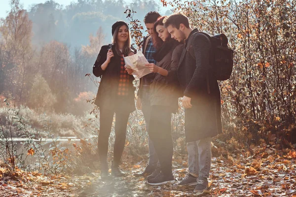Group of young friends hiking in autumn colorful forest, looking at map and planning hike.