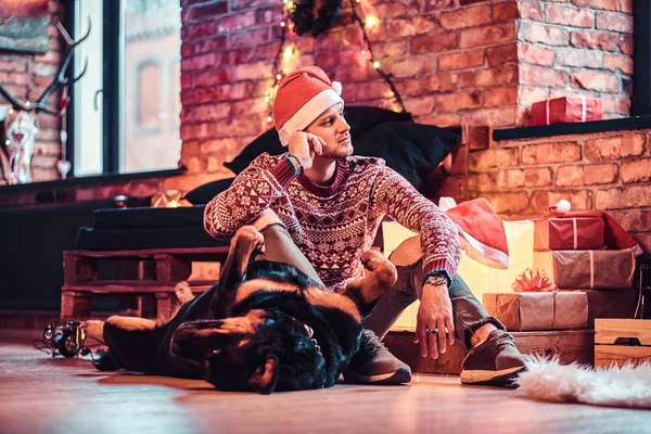 Задумчивый человек, сидящий со своим чистокровным ротвейлером в украшенной гостиной на Рождество . — стоковое фото