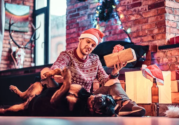 圣诞节时, 一个时尚的男人拿着一个礼品盒, 和他可爱的狗坐在装饰好的客厅里. — 图库照片