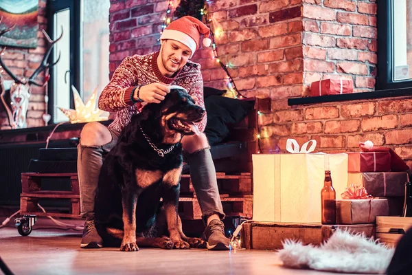 Młody człowiek stylowy przytrzymanie pudełko siedząc z jego ładny pies w urządzonego salonu w okresie Bożego Narodzenia. — Zdjęcie stockowe