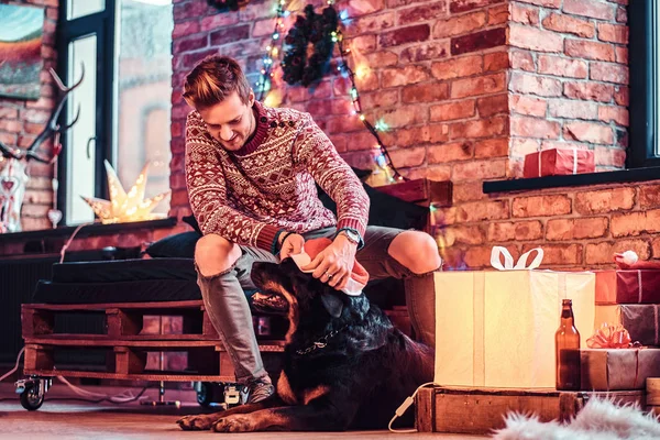 Молодой стильный мужчина держит подарочную коробку, сидя со своей милой собакой в украшенной гостиной на Рождество . — стоковое фото