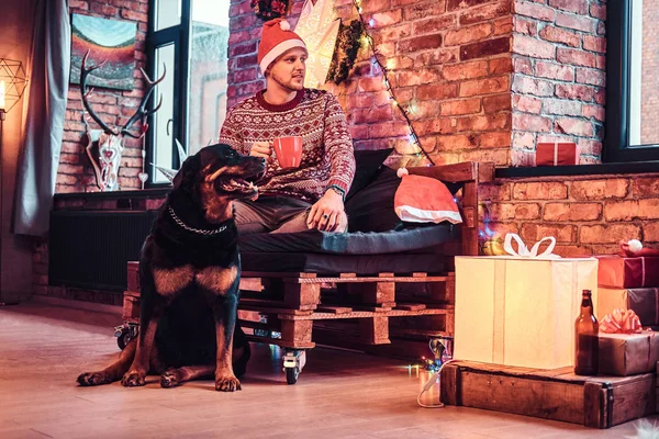 圣诞节期间, 一名年轻人拿着杯子和咖啡在装饰过的客厅里和他可爱的狗在一起. — 图库照片
