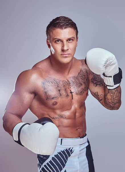 Brutale getatoeëerd bokser in bokshandschoenen poseren voor een camera, geïsoleerd op een grijze achtergrond. — Stockfoto