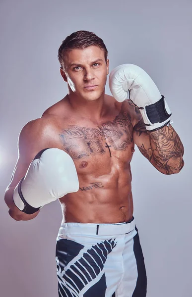 Brutaler tätowierter Boxer in Boxhandschuhen, der isoliert auf grauem Hintergrund für eine Kamera posiert. — Stockfoto