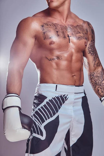 Foto recortada de un boxeador musculoso tatuado con guantes de boxeo, aislado sobre un fondo gris . — Foto de Stock