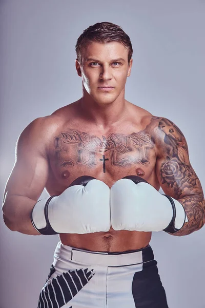 Brutal tatuat boxer în mănuși de box care prezintă pentru o cameră foto, izolat pe un fundal gri . — Fotografie, imagine de stoc