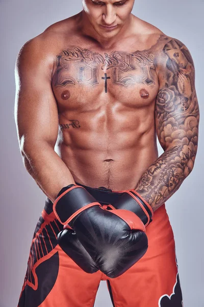 Brutal boxeador tatuado en guantes de boxeo posando para una cámara, aislado sobre un fondo gris . — Foto de Stock
