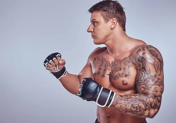 Vista laterale di scatole muscolose tatuate che indossano guanti da boxe, isolate su sfondo grigio . — Foto Stock