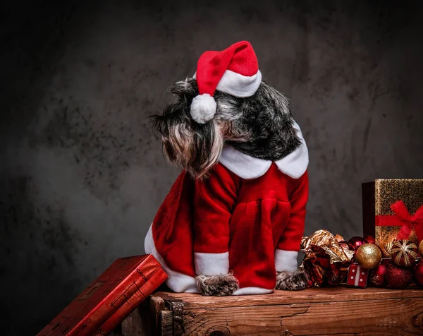 Niedlicher schottischer Terrier im Weihnachtsmannkostüm sitzt auf einer Holzpalette, umgeben von Geschenken und Kugeln zur Weihnachtszeit. — Stockfoto