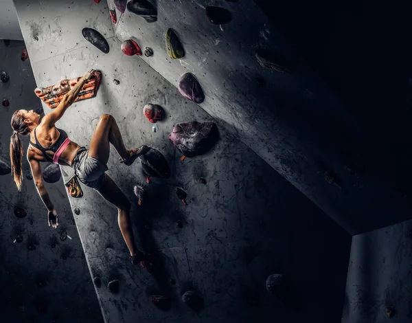 Junge Frau in Sportkleidung beim Klettern an einer Wand im Haus — Stockfoto