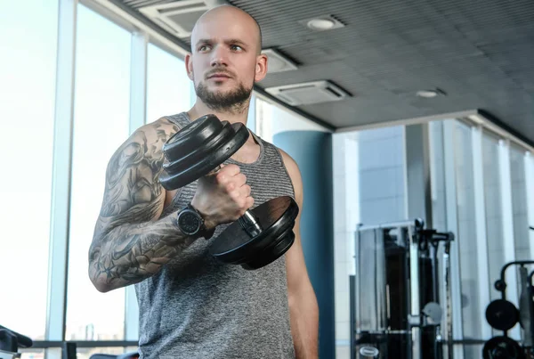 Портрет лысого спортсмена с татуировкой на руке, делающего упражнения с гантелями в современном фитнес-клубе — стоковое фото