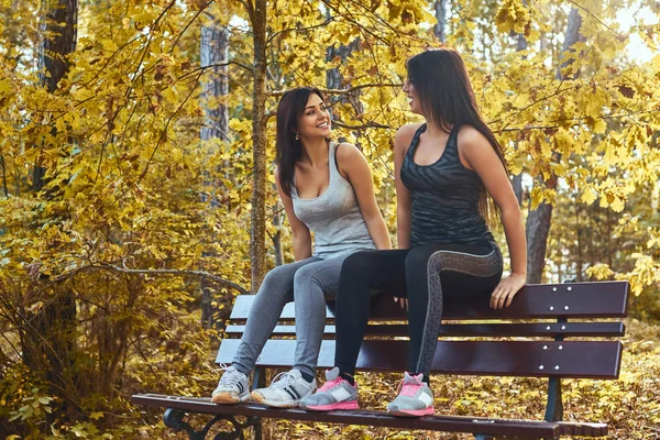 İki güzel kızlar spor giyim Sonbahar parkta bir bankta otururken konuşuyor — Stok fotoğraf