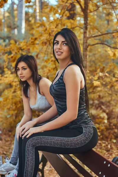 Due belle ragazze che indossano abbigliamento sportivo sedute su una panchina nel parco autunnale — Foto Stock