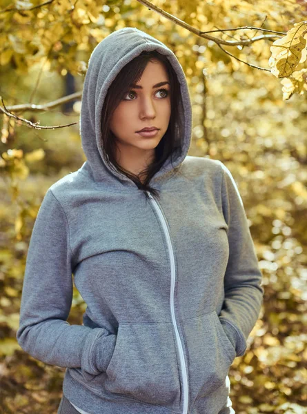Una ragazza affascinante che indossa una felpa grigia nel parco autunnale — Foto Stock