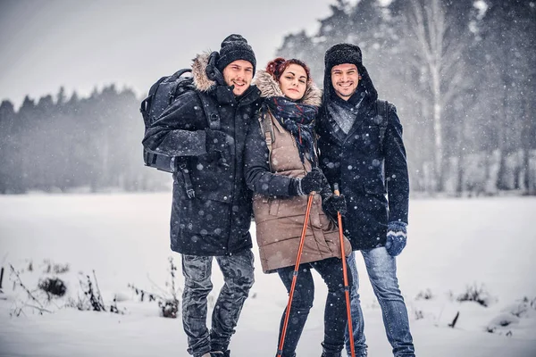 Uma empresa amigável viajando na floresta de neve . — Fotografia de Stock