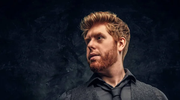 Portrait of a handsome redhead man with stylish hair and beard in studio against a dark textured wall