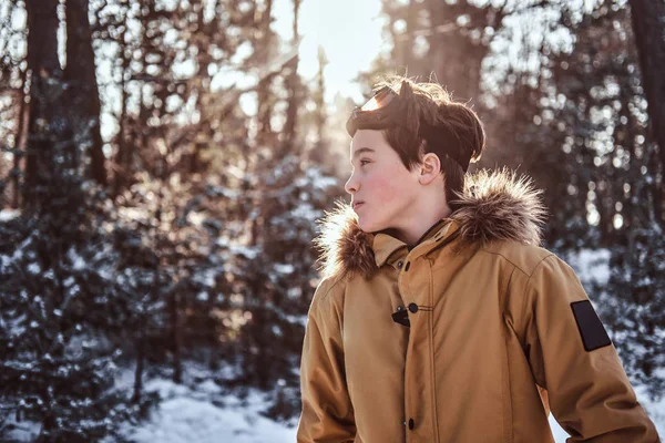 Portrait d'un jeune snowboardeur vêtu de vêtements chauds et de lunettes de protection debout dans une forêt enneigée au coucher du soleil — Photo