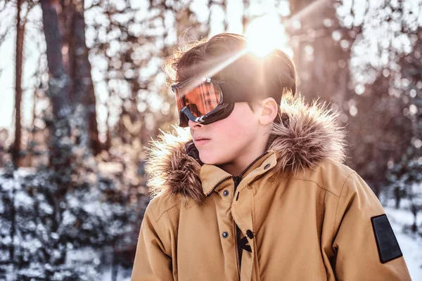Retrato de un joven snowboarder vestido con ropa de abrigo y gafas protectoras de pie en un bosque nevado durante el atardecer — Foto de Stock