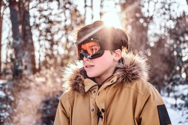 Retrato de um jovem snowboarder vestido com roupas quentes e óculos de proteção em pé em uma floresta nevada durante o pôr do sol — Fotografia de Stock