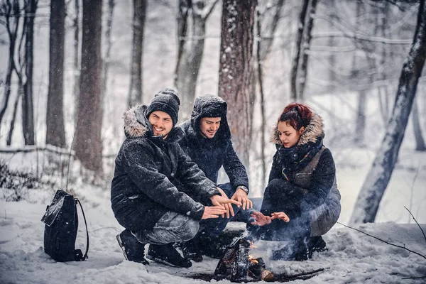 Um grupo de amigos felizes encenou um acampamento no meio de uma floresta nevada — Fotografia de Stock