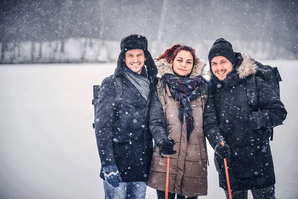 Um grupo de amigos estão ao lado uns dos outros e olhar para a câmera no meio de uma floresta nevada — Fotografia de Stock