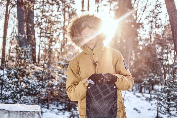 Молодий сноубордист, одягнений у теплий одяг, спирається на сноуборд, що стоїть у сніжному лісі під час заходу сонця — стокове фото