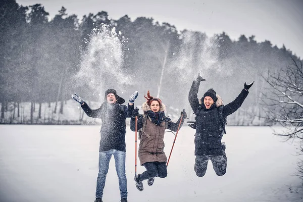 Skupina radostné přátel baví spolu v zasněženém lese — Stock fotografie
