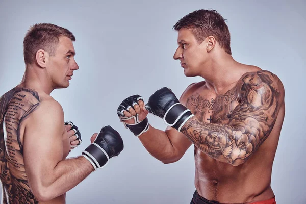 Dos luchadores profesionales mirándose muy de cerca antes de la pelea, aislados sobre un fondo gris . —  Fotos de Stock